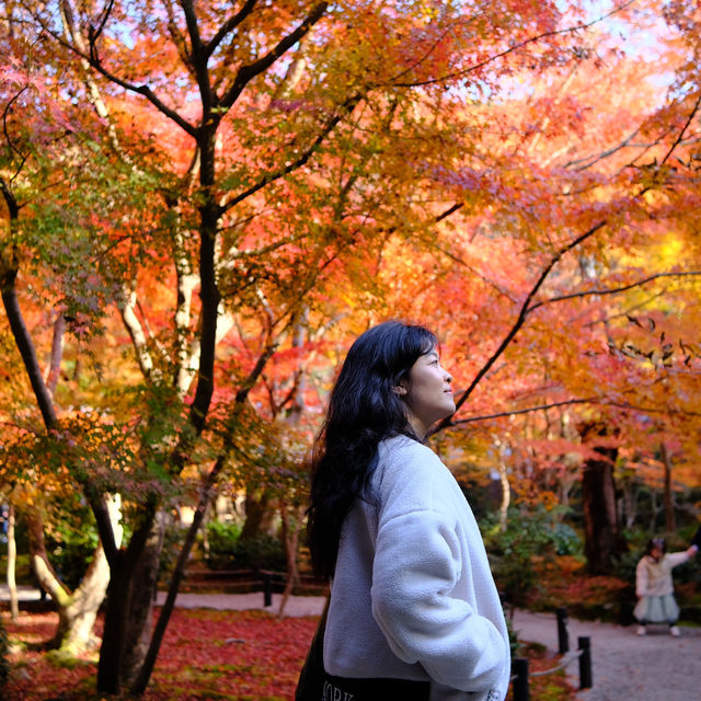 Kyoto không đông đúc - Enkouji Temple
