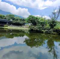 陽明山湖山里櫻花林