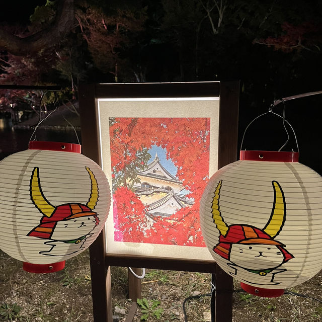 Hikone Castle: Where Autumn Nights Sparkle✨
