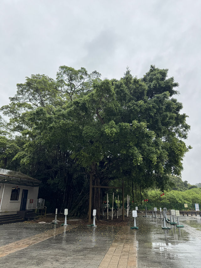 合家歡行山路線！新手適合多補給🙂