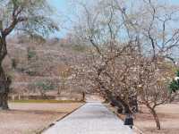  สะพานอัษฎางค์ เกาะสีชัง