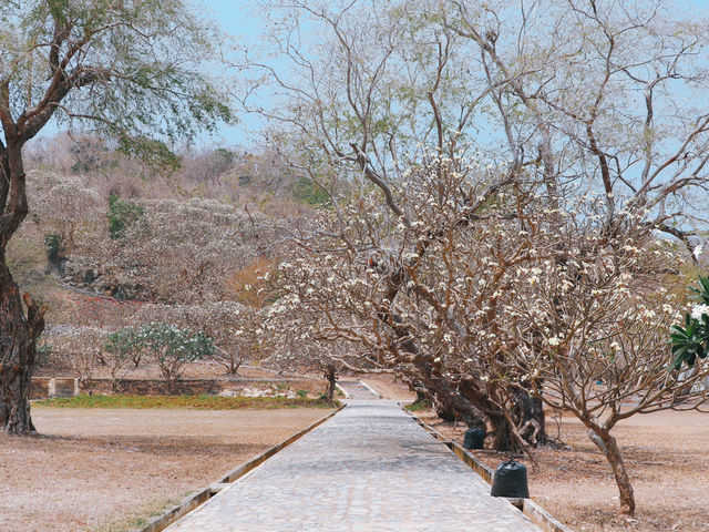  สะพานอัษฎางค์ เกาะสีชัง