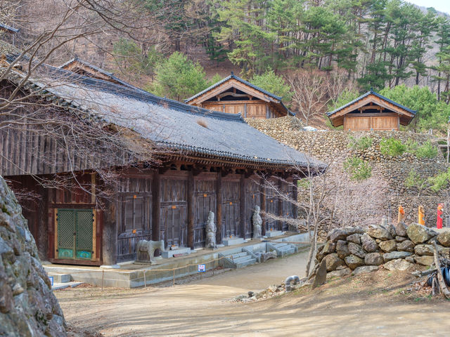 경남 이국적인 여행지 하동 삼성궁❤️