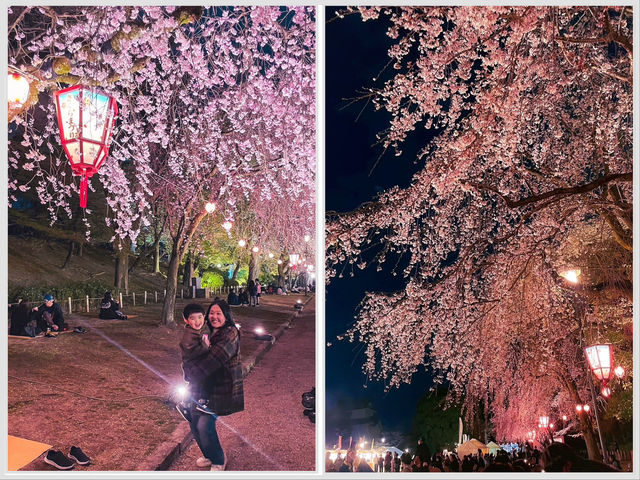 【名古屋】春の風物詩✨名古屋城のさくら祭り🏯🌸
