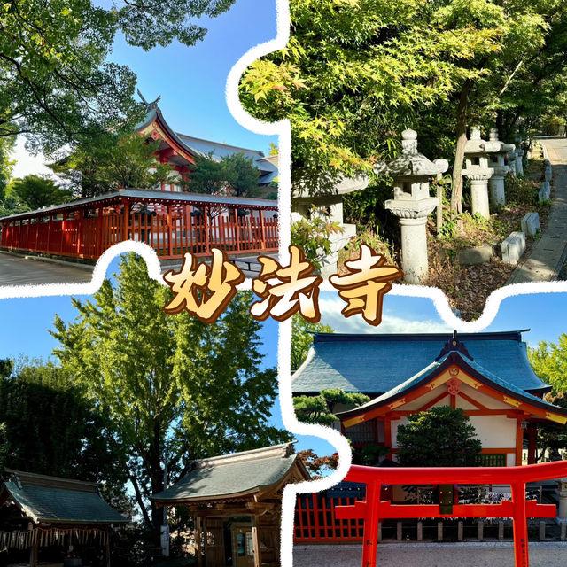 妙法寺｜朱紅色的靜謐