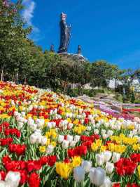 Tay Ninh Ba mountain