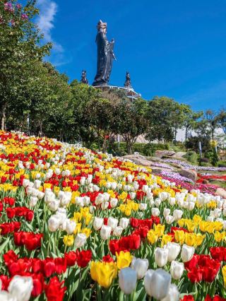 Tay Ninh Ba mountain