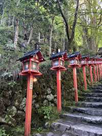 京都5間氣氛好、能量強的神社！感覺有點不一樣吧～