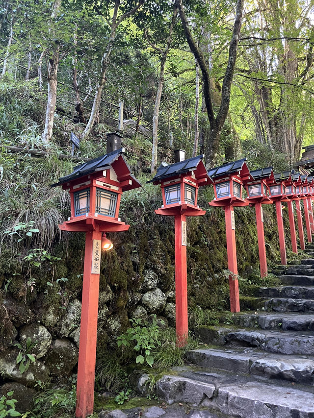 京都5間氣氛好、能量強的神社！感覺有點不一樣吧～