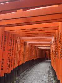 京都5間氣氛好、能量強的神社！感覺有點不一樣吧～