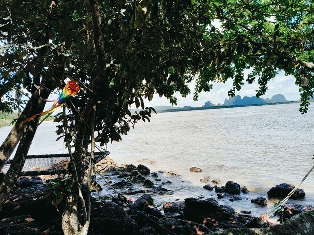 paklad cafe and seafood