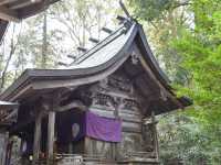 摩訶不思議ミステリー！実際に体感するパワースポット高千穂神社