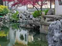 Tuisi Garden– The Garden of Reflection