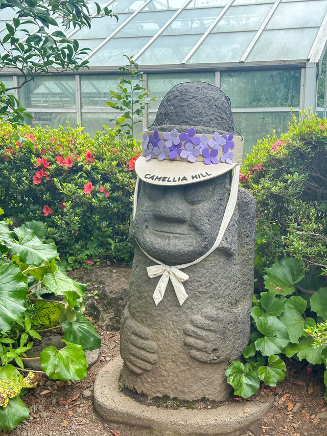 🇰🇷來濟州一定要去看繡球花！山茶花之丘💐