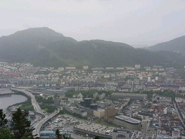 전망대에서 바라본 베르겐의 전경