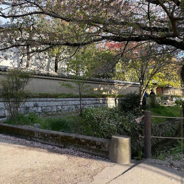 Philosopher's Walk, Kyoto
