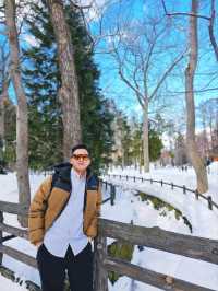Sacred Winter Serenity at Hokkaido Shrine: A Snow‑Cloaked Shinto Retreat