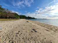 🌴 UMS ODEC Beach: KK’s Best-Kept Secret (Shhh!)🏖️