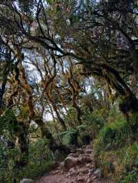 truly mesmerizing, with a remarkable transition from lush grasslands