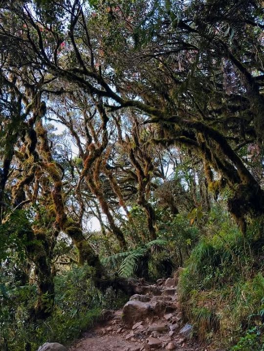 truly mesmerizing, with a remarkable transition from lush grasslands