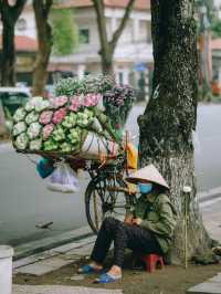 Lotus flowers in HaNoi