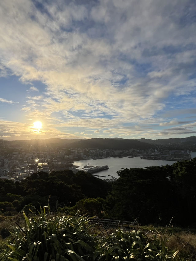 Hobbiton Village & Mt Victoria Wellington Lookout