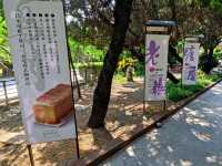 #鳥月生吐司專門店-彰化縣溪湖鎮
