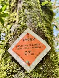 走走林相優美的復興尖山