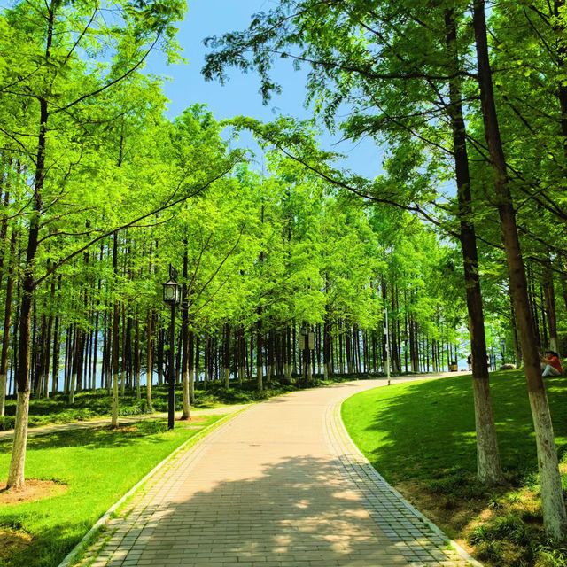 ～列聖生態休閒公園～游走於繁花之間～