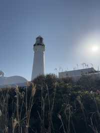 【千葉】白灯台と断崖絶壁の絶景スポット