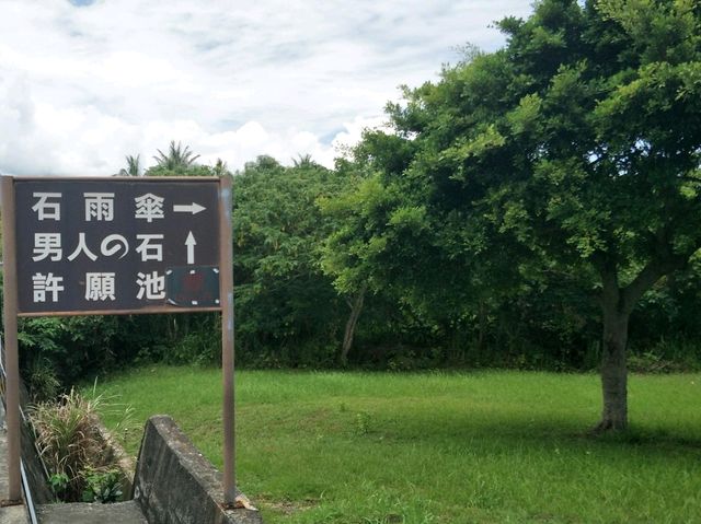 #石雨傘遊憩區-臺東縣成功鎮