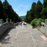 Nanjing Meihua Mountain (Plum Blossom Hill) – "Where Plum and Cherry Blossoms Meet"