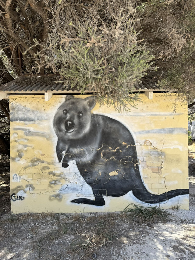 澳洲珀斯必去一日遊景點-羅特尼斯島（Rottnest Island）