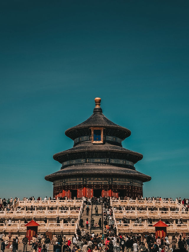  A Walk Through Harmony: Spring Reflections at Temple of Heaven Park