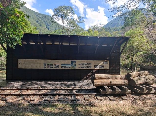 #八仙山國家森林遊樂區- 臺中市和平區