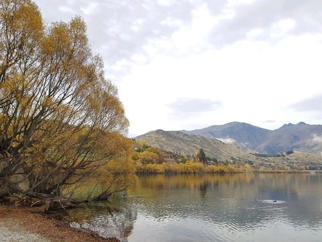 Lake Hayes, a small lake in the Lake Wakatipu Basin.