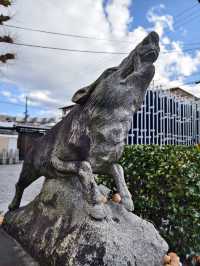 推介3間京都小寺廟