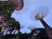 Gardens by the Bay: A Futuristic Oasis in the Heart of Singapore