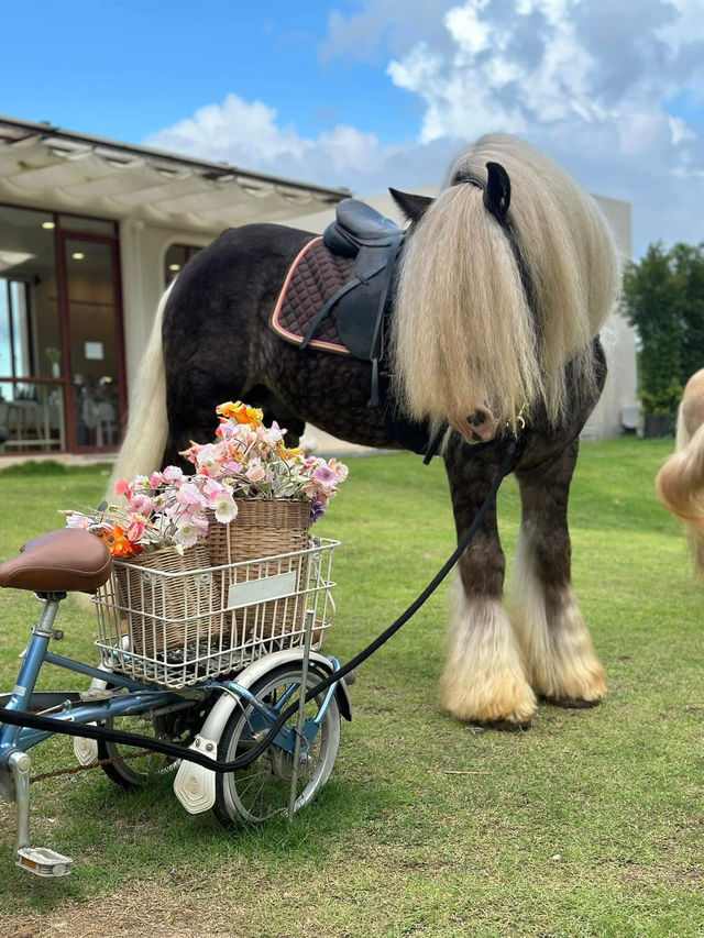 Floryday Khaoyai : Café & Flower