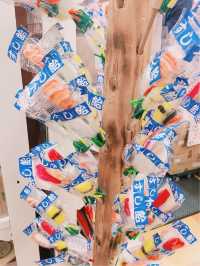 도쿄 속 여유와 맛의 하루, 우에노 감성 여행 코스 🍜🌸