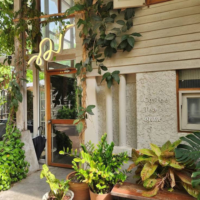 ร้านร่มรื่น บรรยากาศดีในเมือง