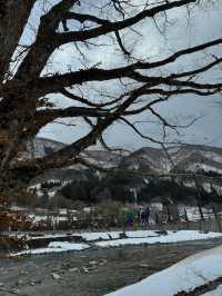 snow in japan