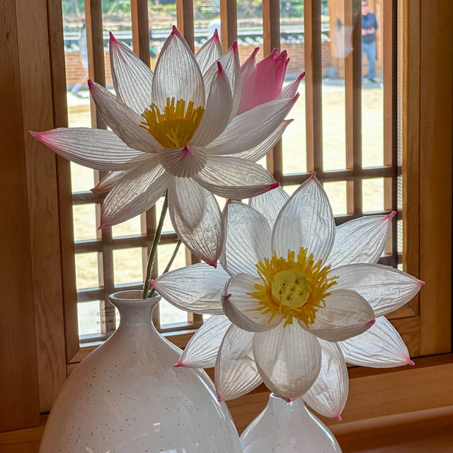 📌 전주 연화정 도서관 | 전통 한옥에서 만나는 힐링 공간