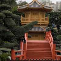 志蓮淨苑及南蓮園池 (Chi Lin Nunnery and Nan Lian Garden) - 寧靜的節慶文化體驗 (Tranquil Festive Cultural Experience)