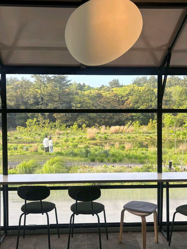🪵제주도 서귀포 카페 <담소요> 힐링을 원한다면 무조건 추천