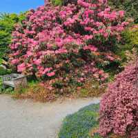 Mendocino Coast Botanical Gardens – Fort Bragg, CA
