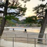 일몰시간에 가니 더 황홀했던 아라시야마 🌊🏞️🌅