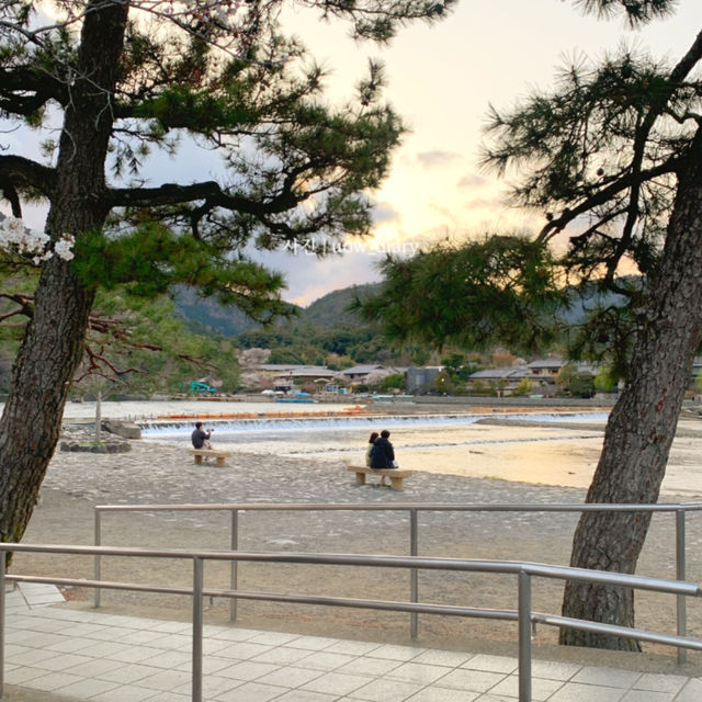 일몰시간에 가니 더 황홀했던 아라시야마 🌊🏞️🌅