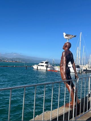 A Stroll Along Wellington Waterfront Walk｜The Perfect Blend of City and Sea