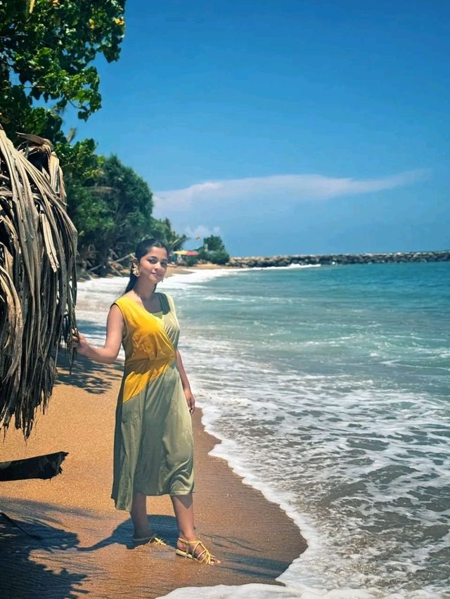 Title: Sri Lanka – The Island Where Nature and Soul Speak Loudest
